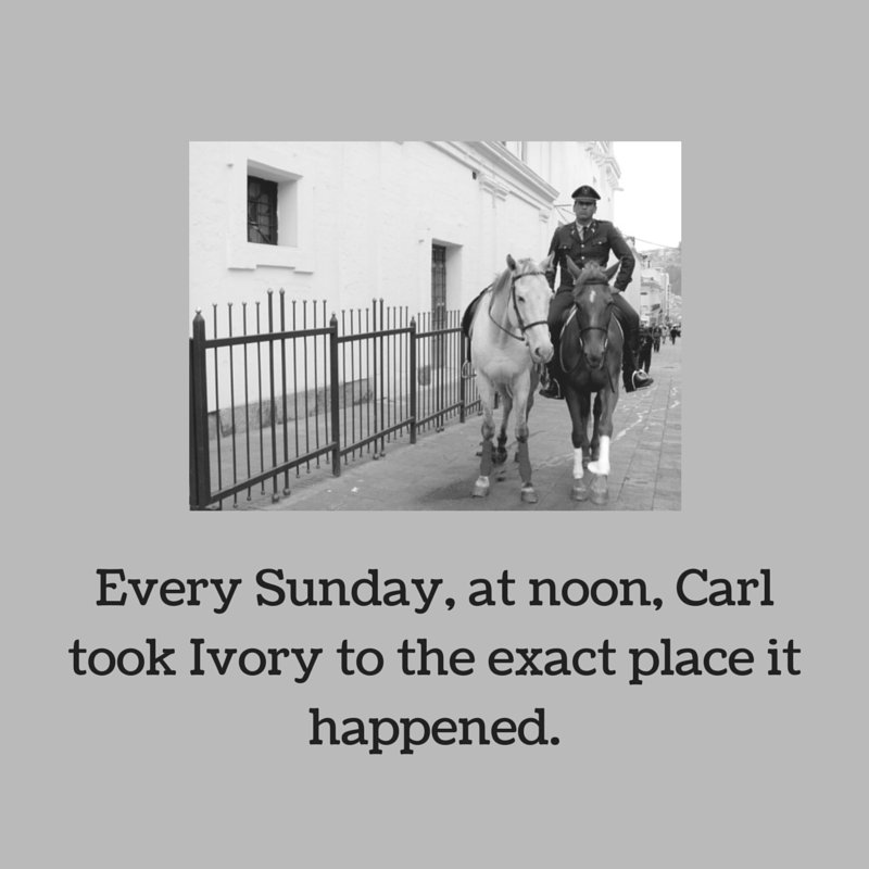 post_4673_840.jpg image